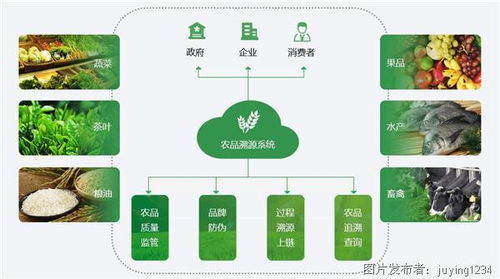 国外农业物联网应用 精准赋能，重塑农业生产与服务模式